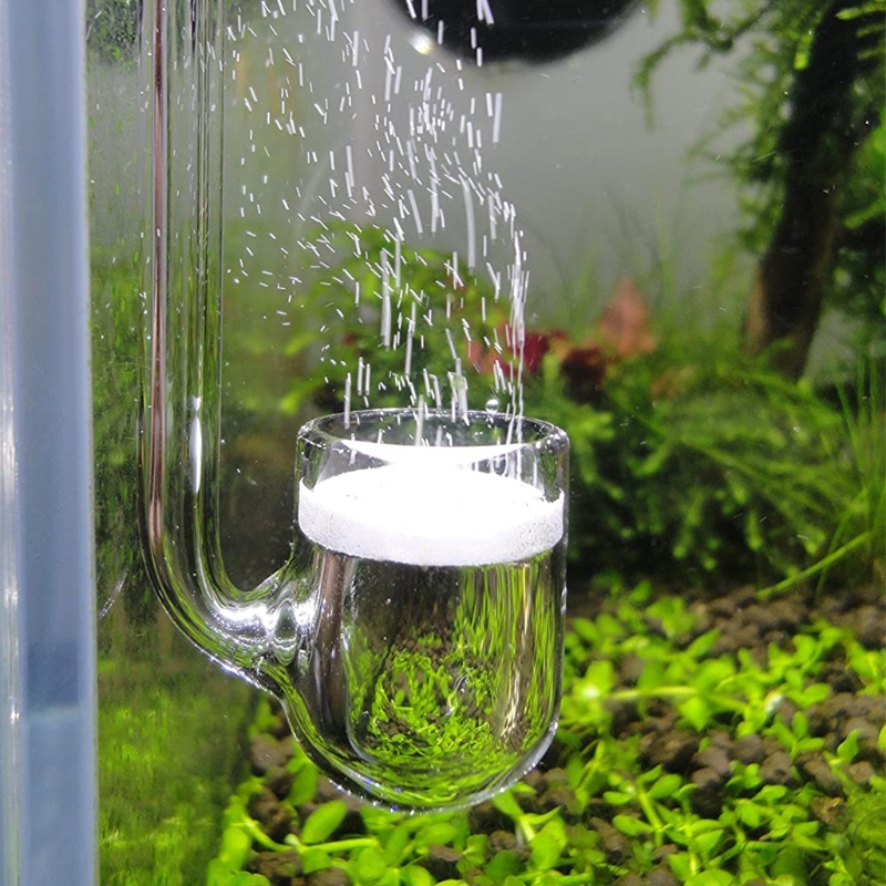 Aquarium Plant Delivery - D0AD Glass CO2 Diffuser for Aquarium,