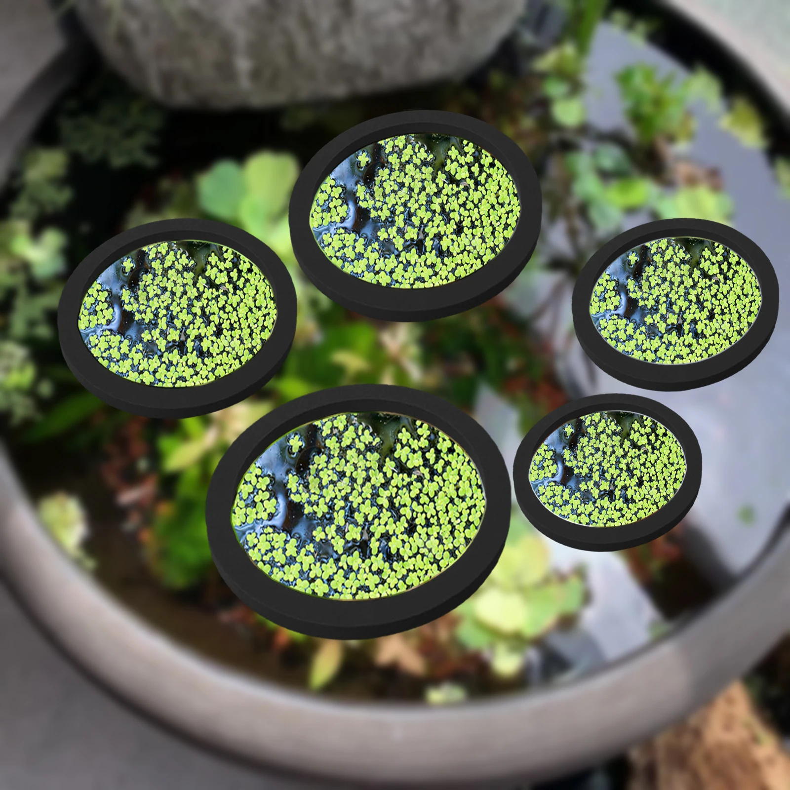Aquarium Plant In Pot - 5Pcs EVA Fish Feeding Ring Aquarium
