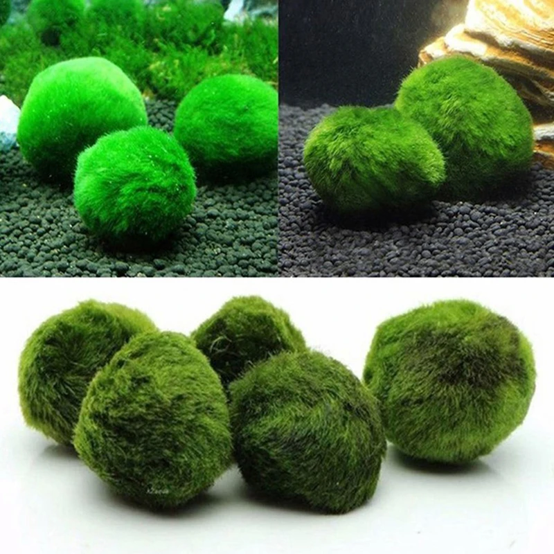 1Pcs 3-4cm Moss Balls Live Aqu - Aquarium Planted Tank Substrate recension och pris