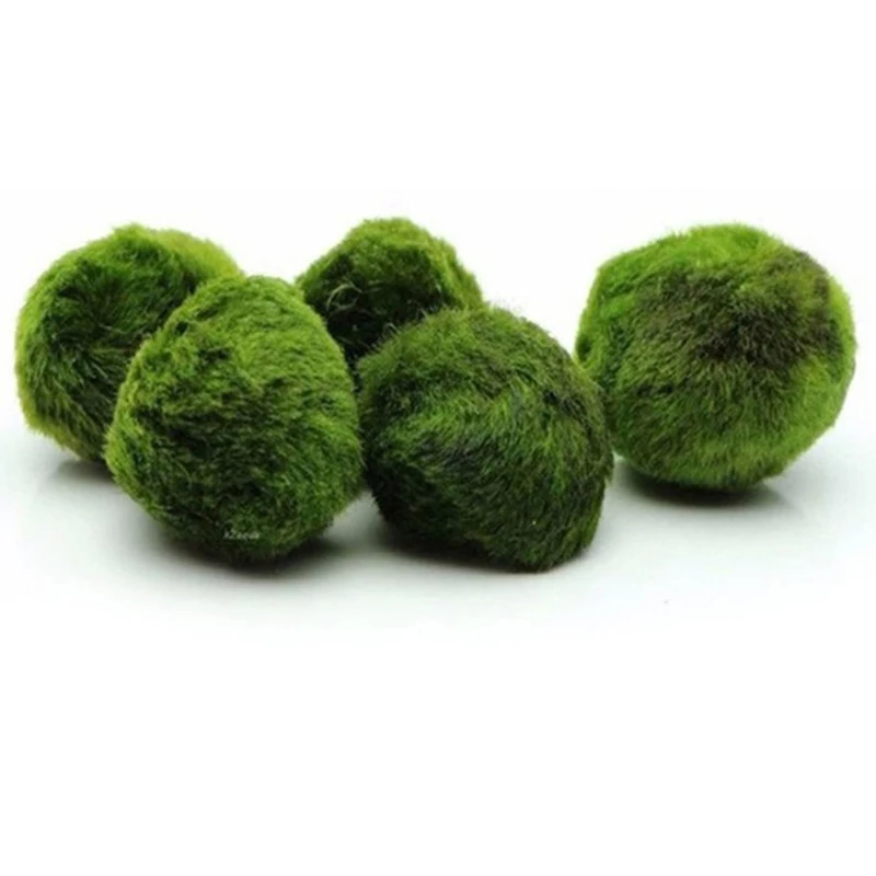 1Pcs 3-4cm Moss Balls Live Aqu - Aquarium Planted Tank Substrate recension och pris