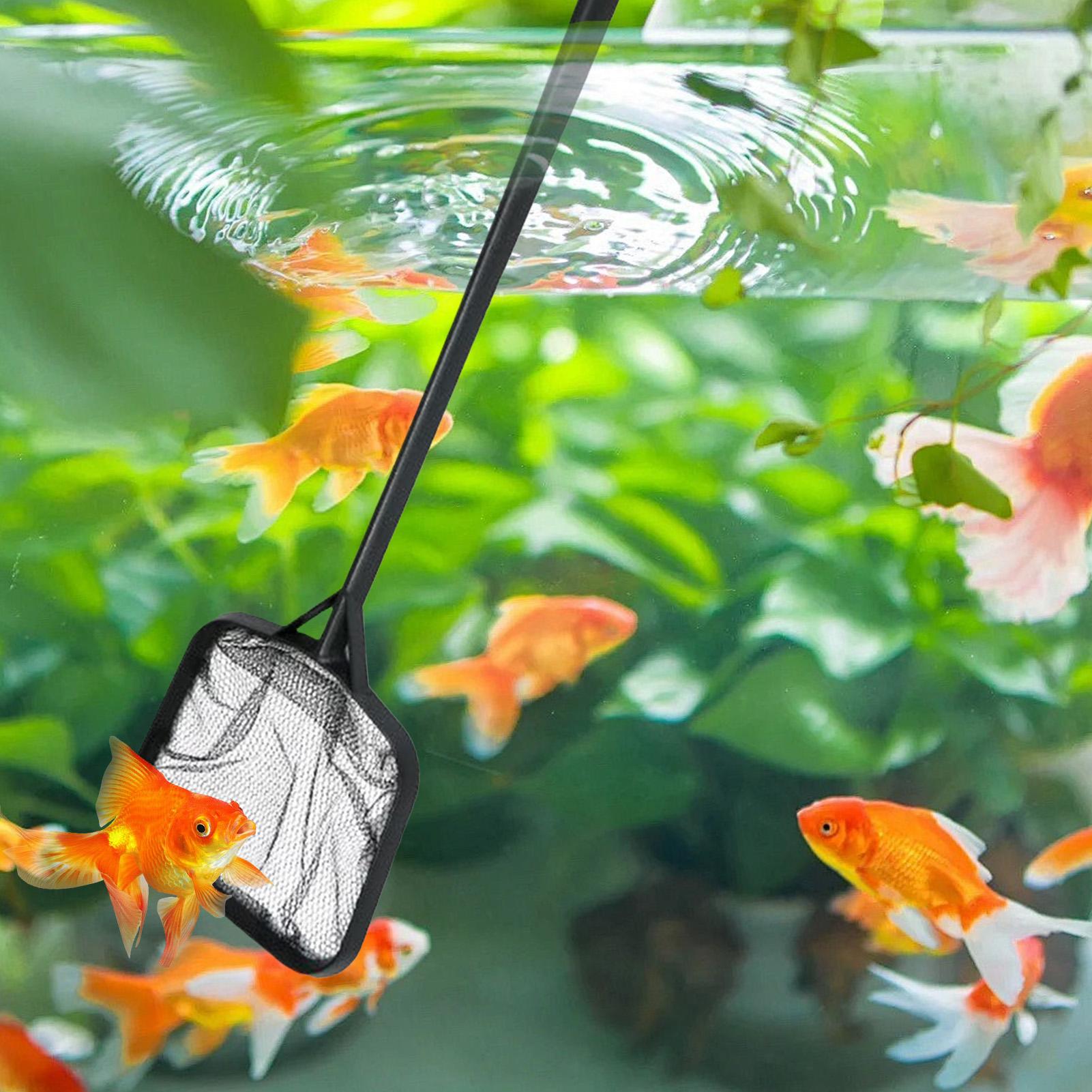 Pool Nets for Cleaning Portabl - Planted Aquarium Cleaning recension och pris