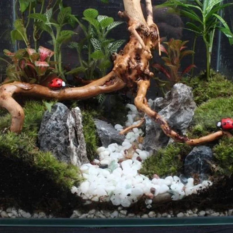 Natural Tree Trunk Driftwood A - Aquarium Planted Tree recension och pris