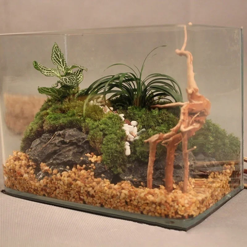 Natural Tree Trunk Driftwood A - Aquarium Planted Tree recension och pris