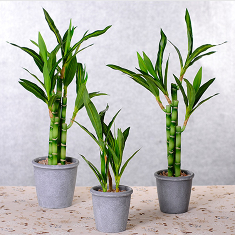 New 40cm Artificial Lucky Bamb - Aquarium Plant In Pot recension och pris