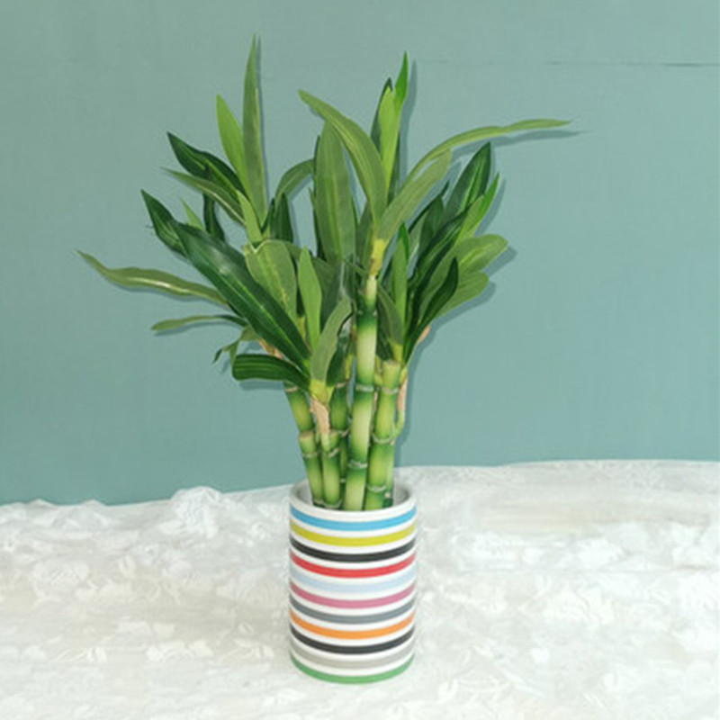 New 40cm Artificial Lucky Bamb - Aquarium Plant In Pot recension och pris