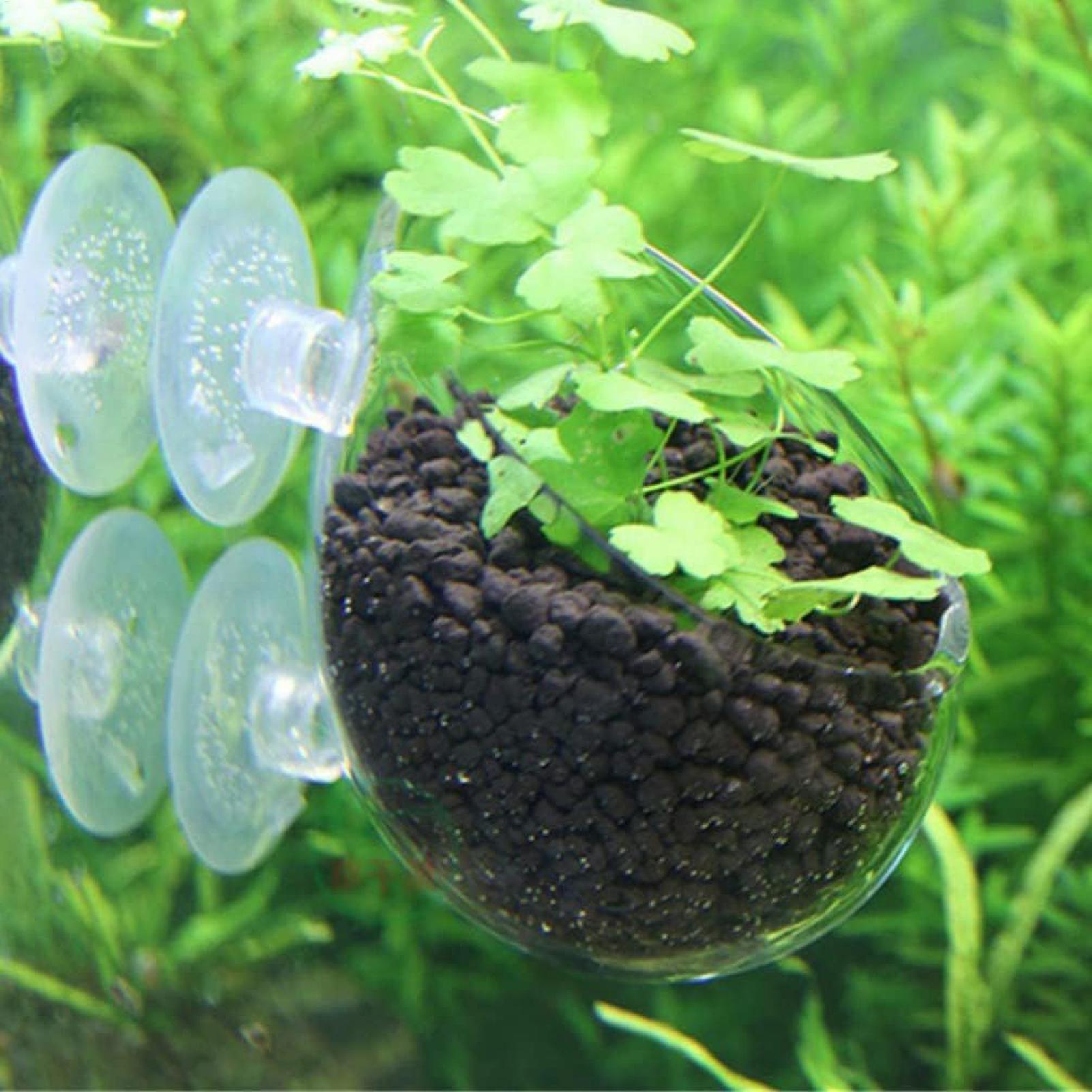 Aquarium Plant Holder Glass Aq - Aquarium Planted Tank Substrate recension och pris