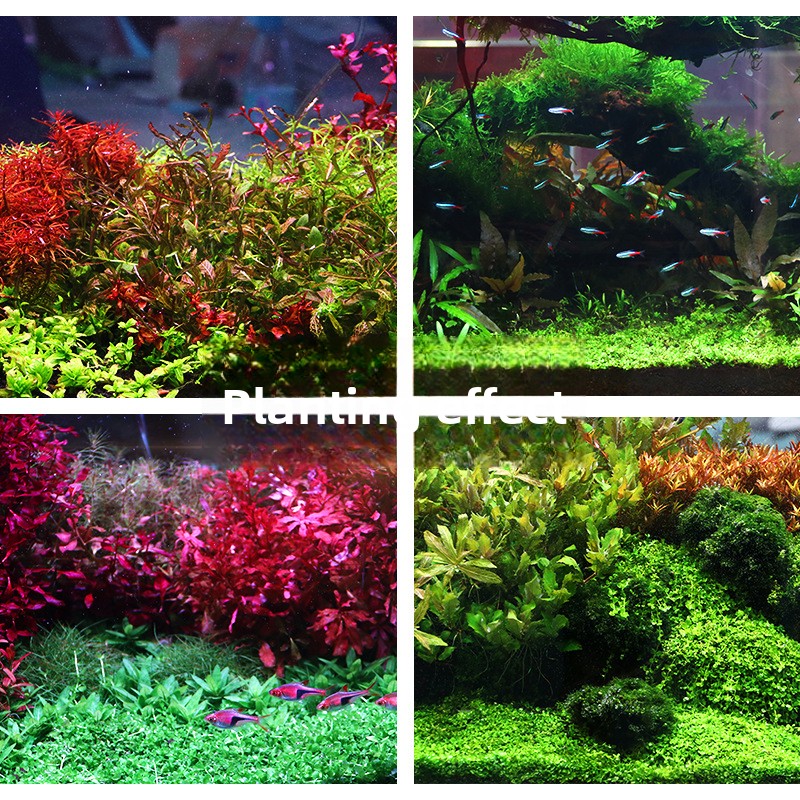 SYSENCIAGA Planted Aquarium Su - Aquarium Planted Tank Substrate recension och pris