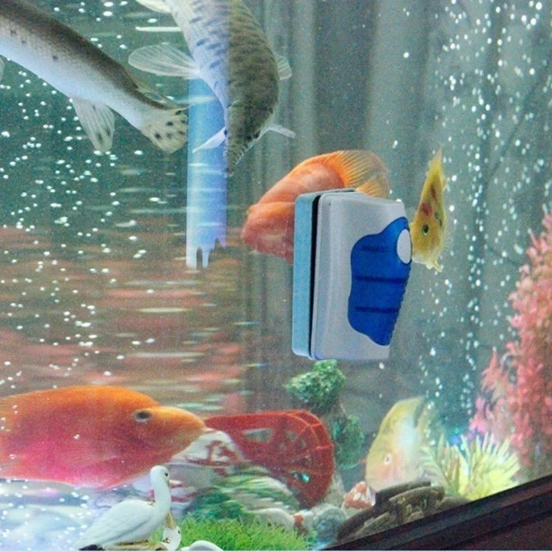 Fish Tank Glass Scraper Cleane - Planted Aquarium Cleaning recension och pris