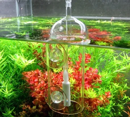 VIV Do Device Aquarium Cylinde - Aquarium Plant Delivery recension och pris