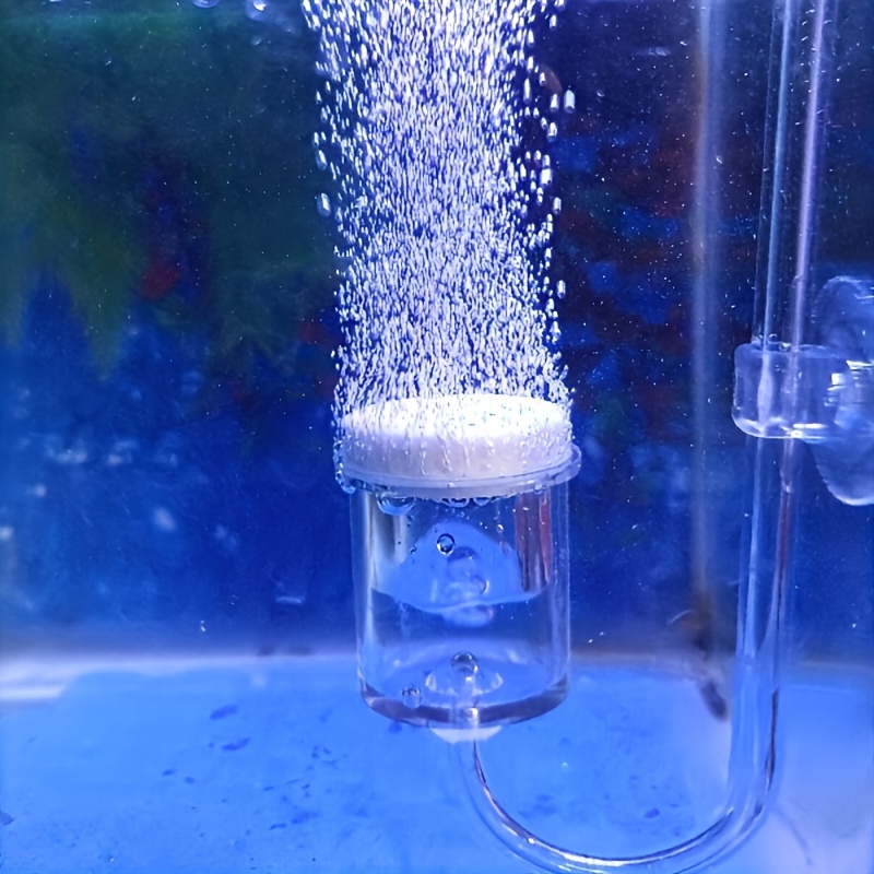Aquarium Glass CO2 Atomizer Di - Aquarium Plant In Pot recension och pris