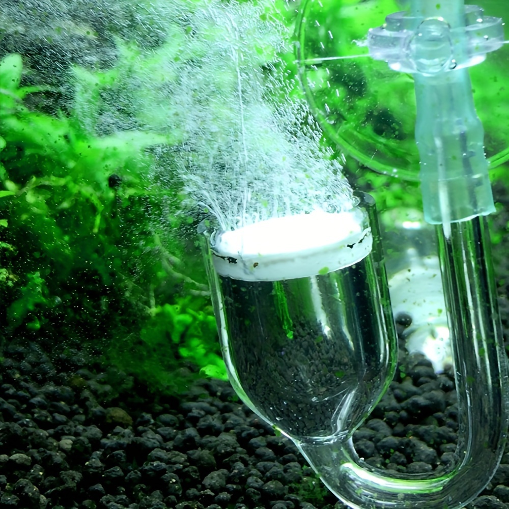 Aquarium Glass CO2 Atomizer Di - Aquarium Plant In Pot recension och pris
