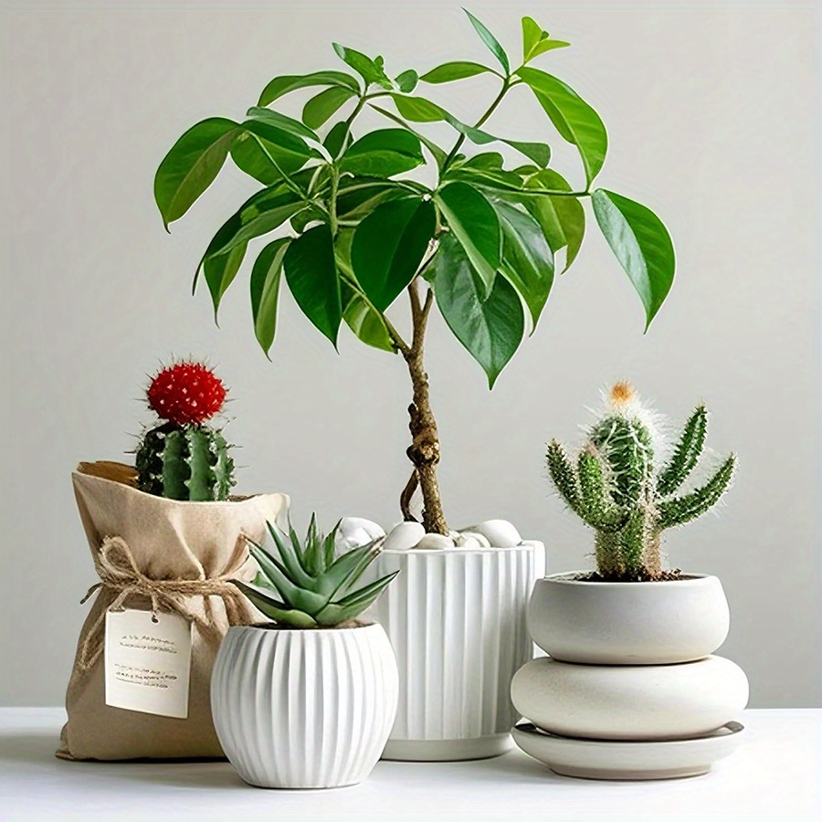 200/400g White High Polished N - Aquarium Plant In Pot recension och pris