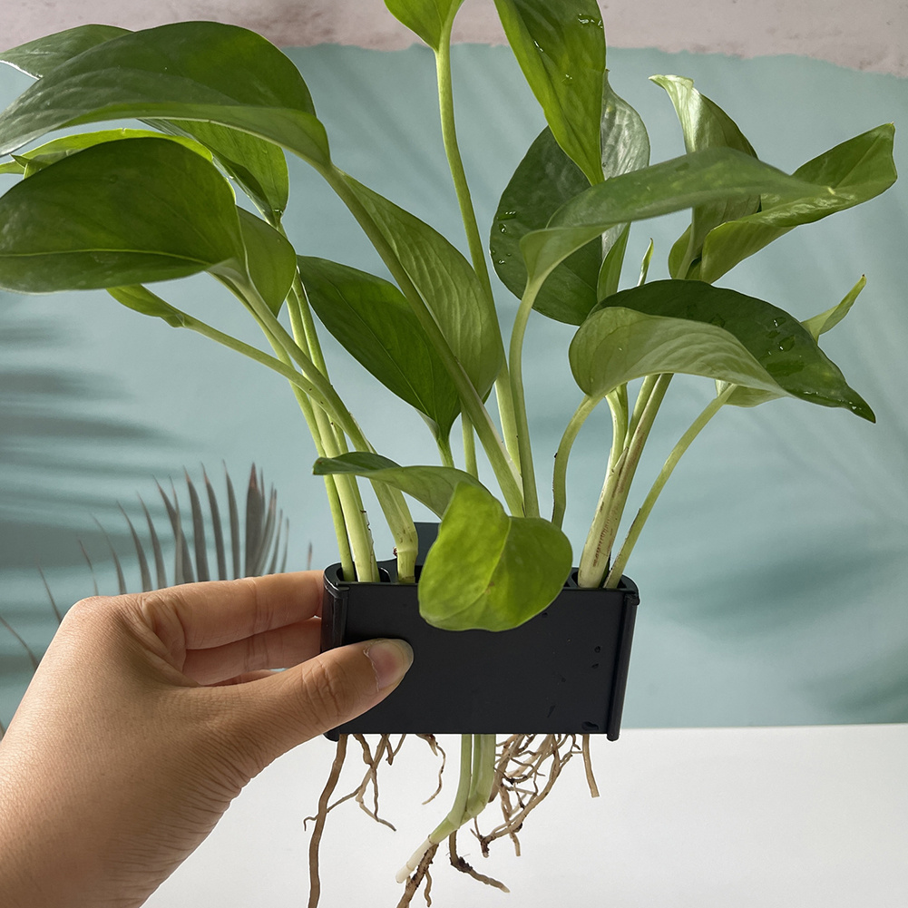 Aquarium Plant Holder with Han - Aquarium Planted Tank Substrate recension och pris