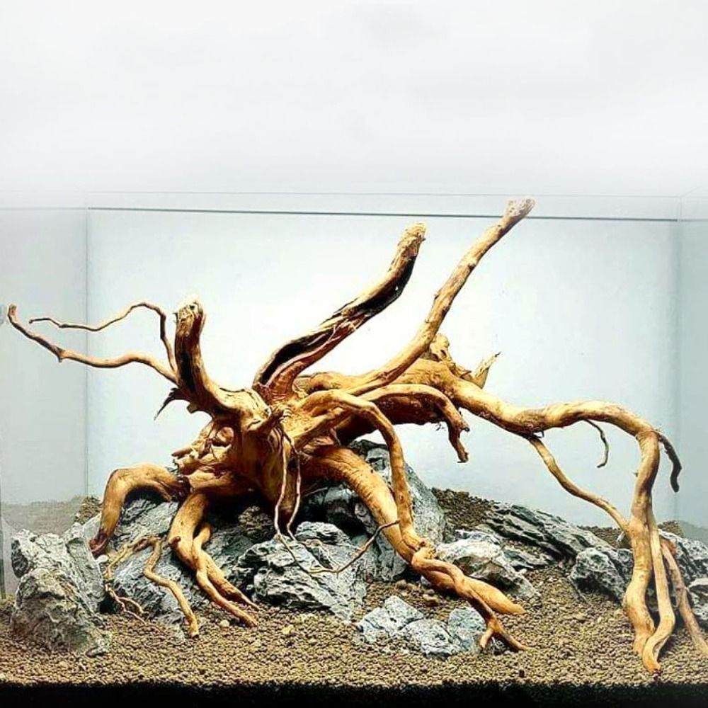 Natural Tree Trunk Aquarium De - Aquarium Planted Tree recension och pris