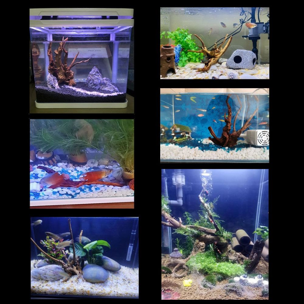 Natural Tree Trunk Aquarium De - Aquarium Planted Tree recension och pris