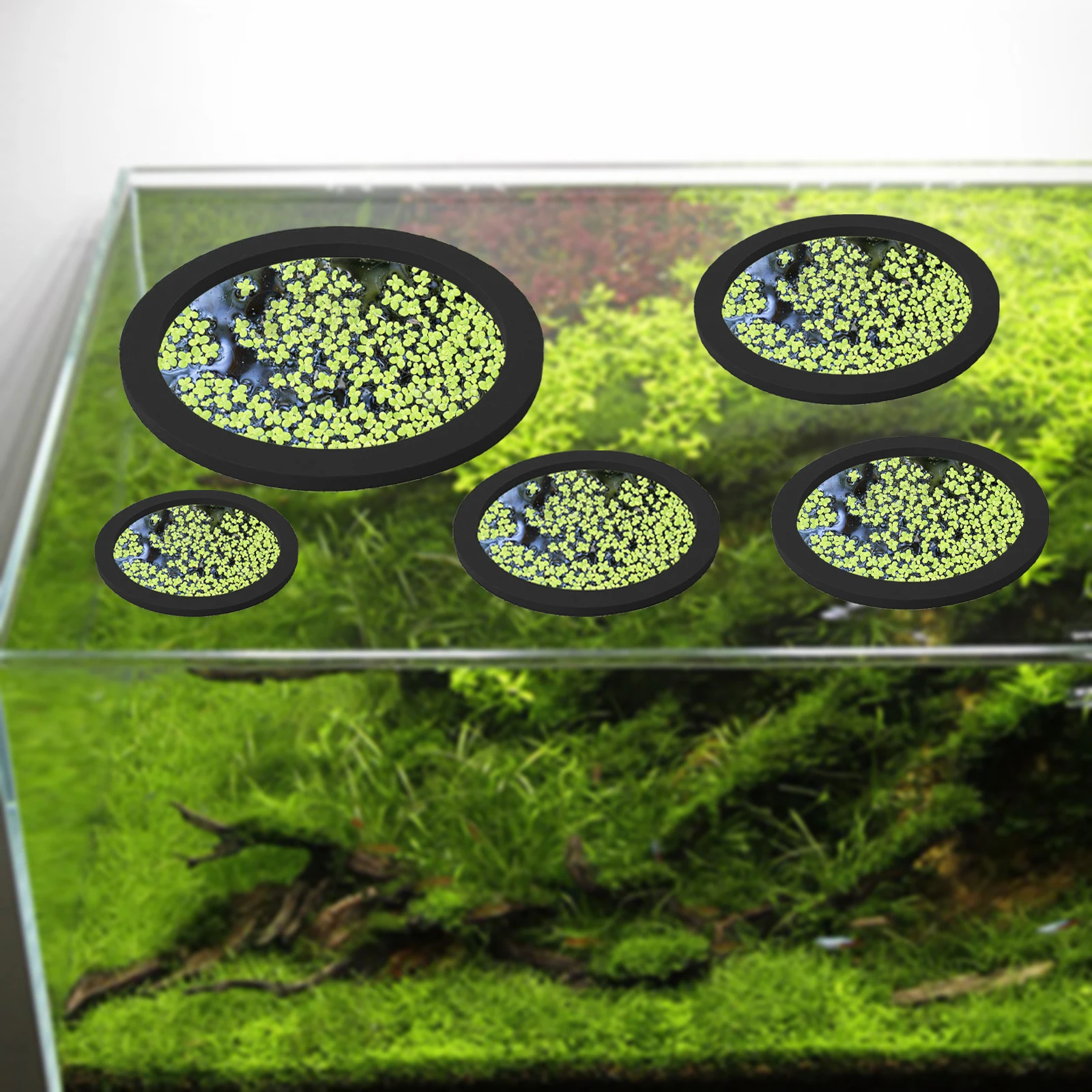 5Pcs EVA Fish Feeding Ring Aqu - Aquarium Plant In Pot recension och pris