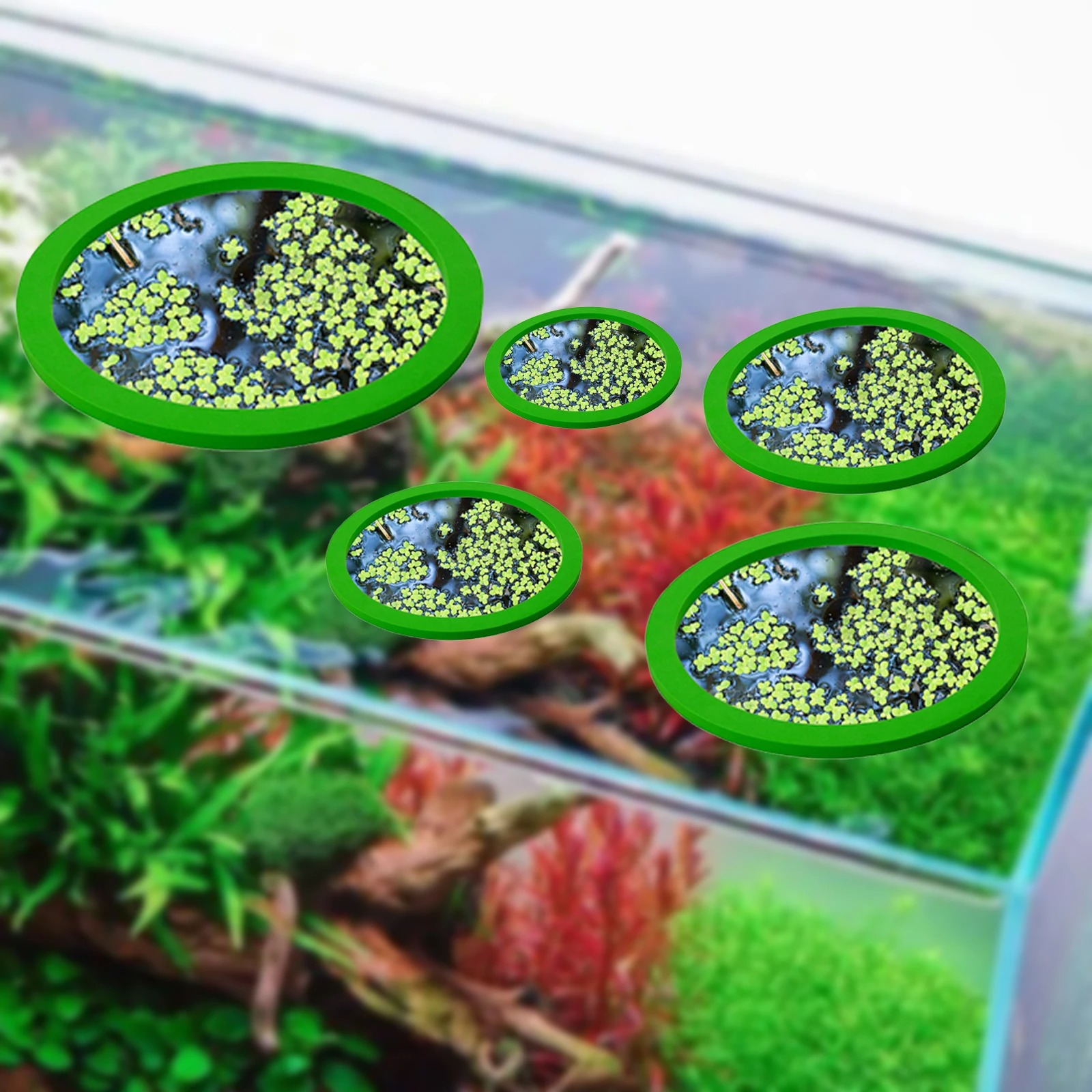 5Pcs EVA Fish Feeding Ring Aqu - Aquarium Plant In Pot recension och pris