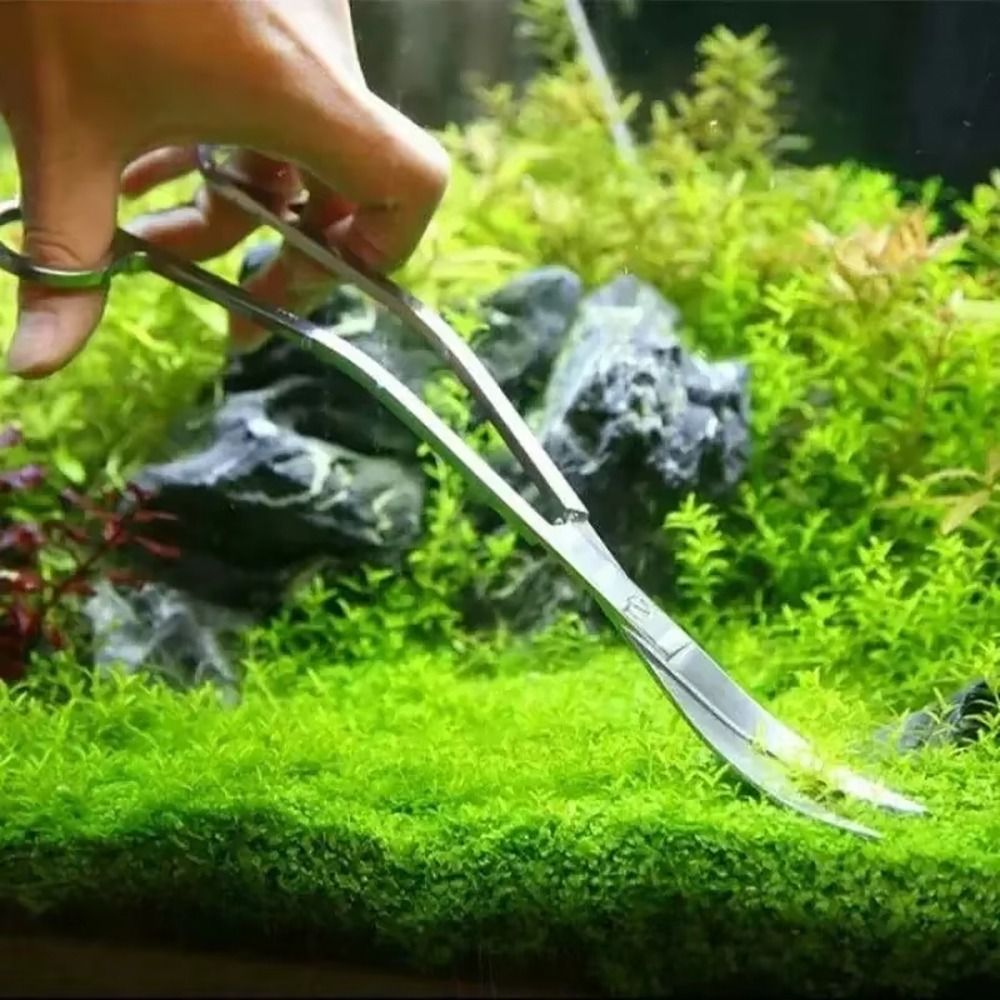 1Pcs Stainless Steel Aquarium  - Planted Aquarium Cleaning recension och pris