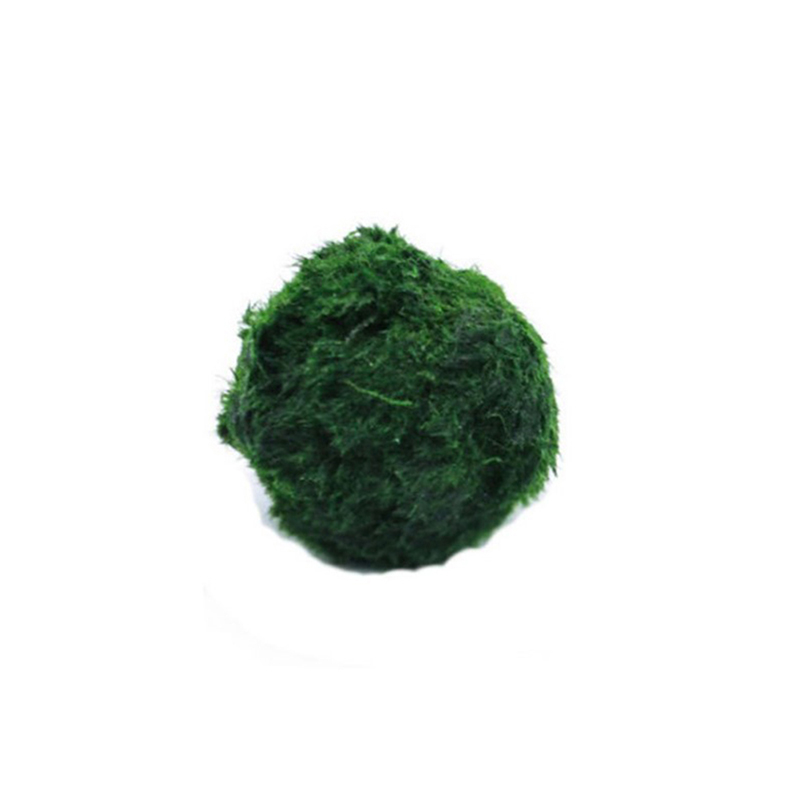 Marimo Moss Balls Live Aquariu - Aquarium Planted Tank Substrate recension och pris