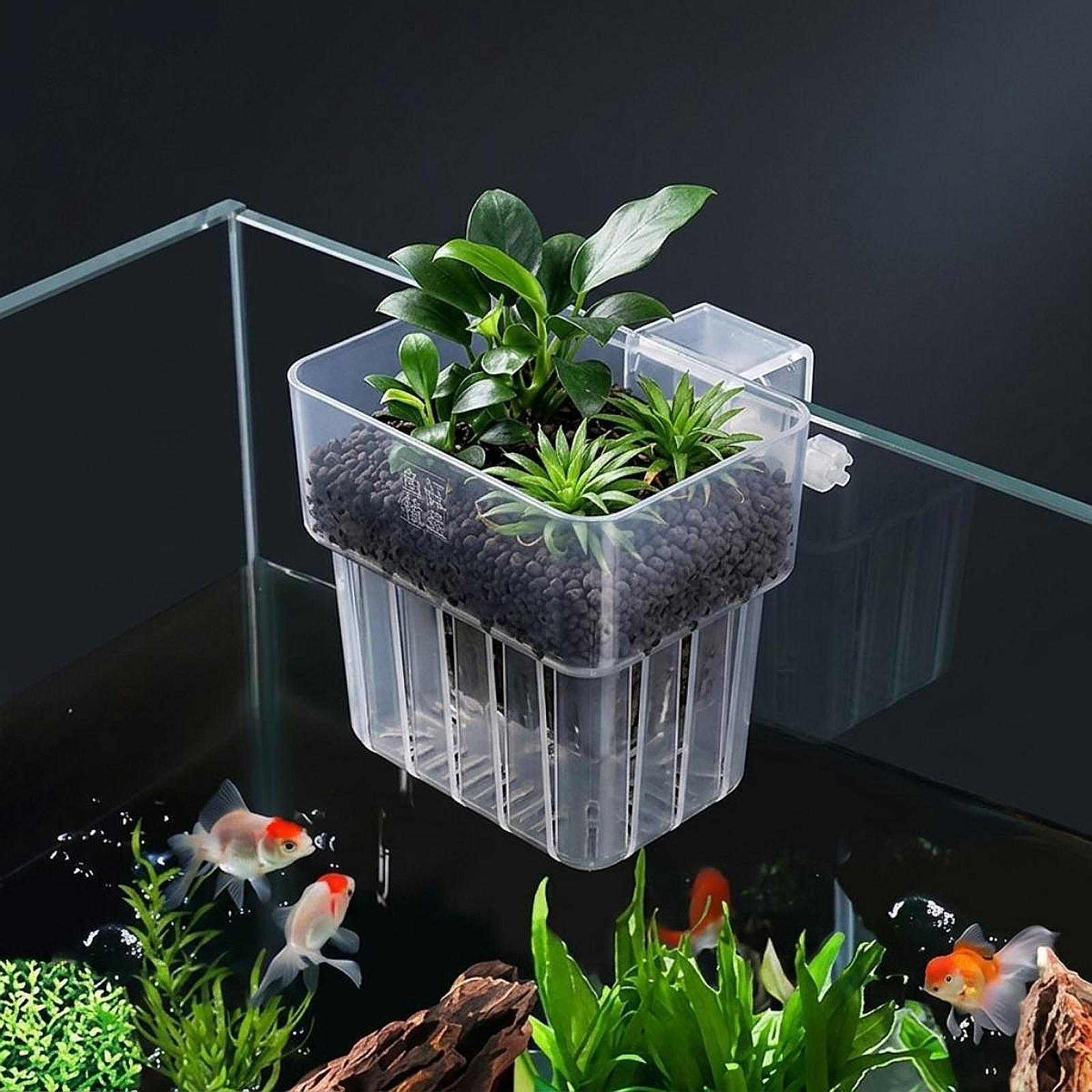 Aquarium Plant Holder Adjustab - Planted Aquarium Materials recension och pris