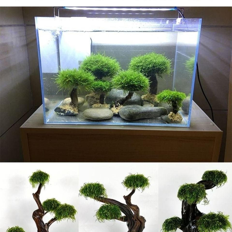 Fish tank greening wood frame  - Aquarium Planted Tree recension och pris
