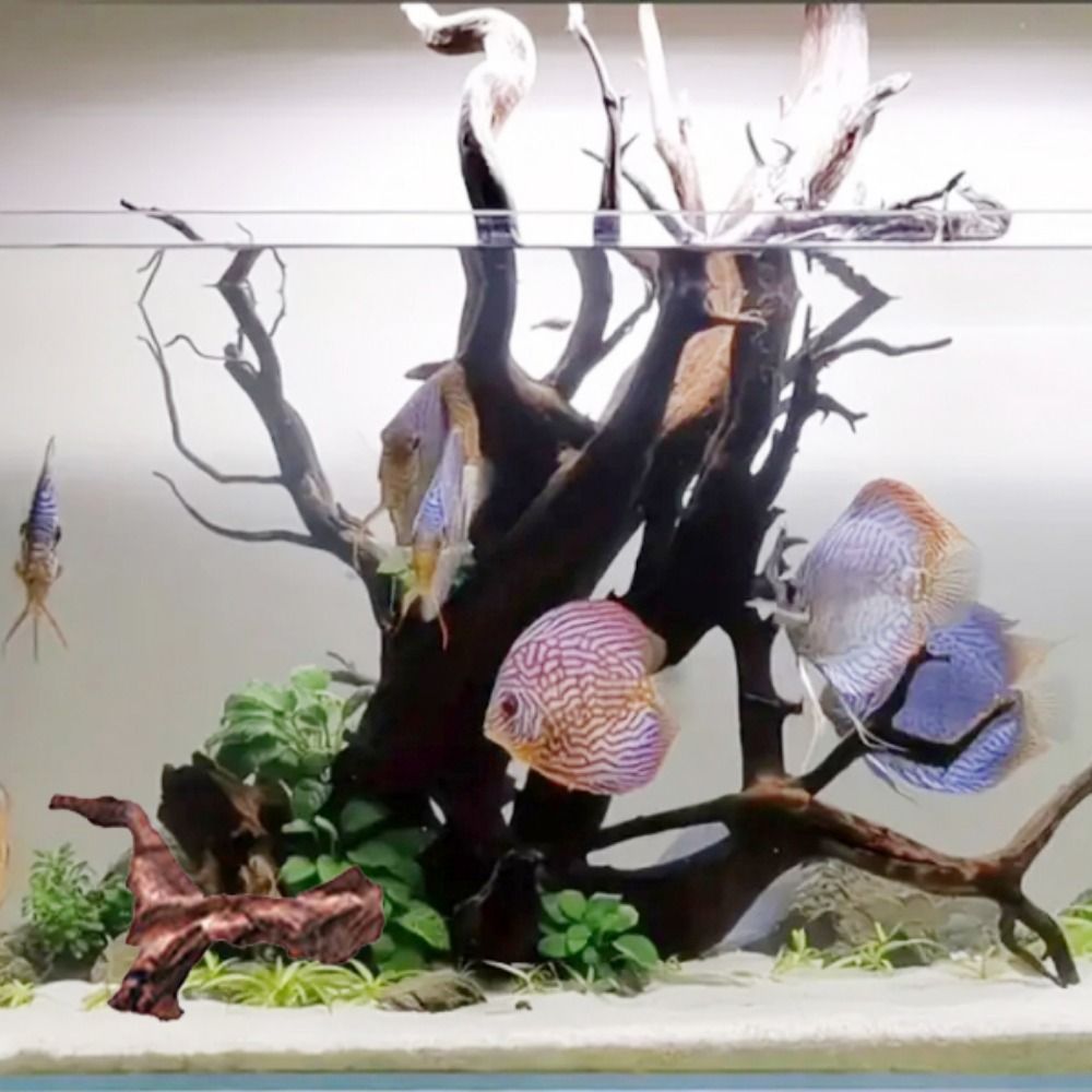 Creative Irregular Shape Coral - Aquarium Planted Tree recension och pris