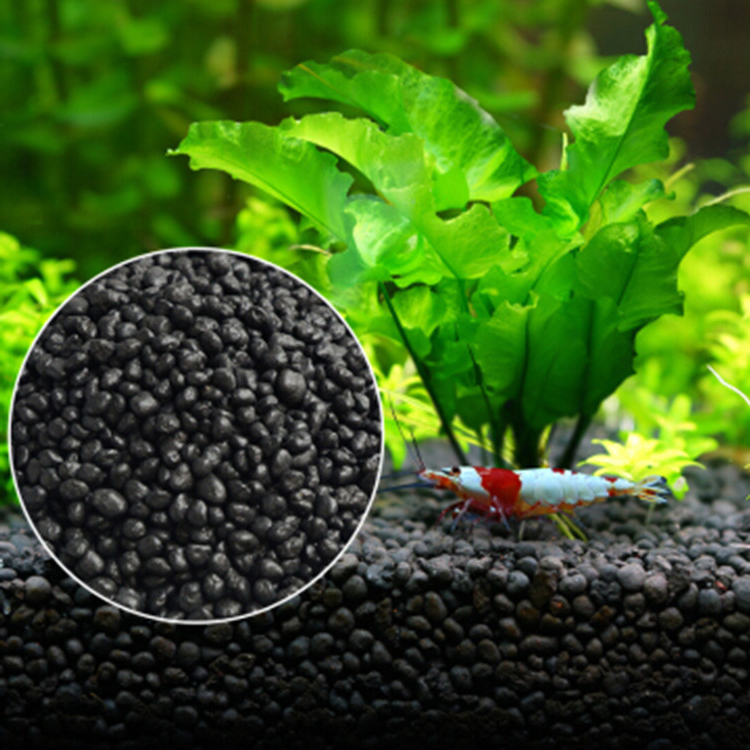 Aquarium Plant Seeds Soil Fish - Aquarium Plant Nursery recension och pris