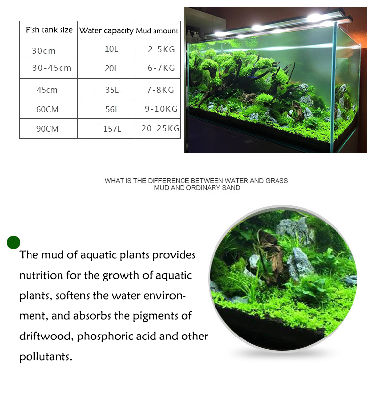 Aquarium Plant Seeds Soil Fish - Aquarium Plant Nursery recension och pris