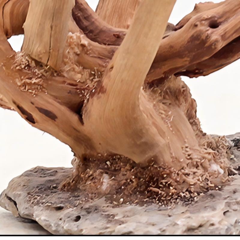 1PC Aquarium Landscaping Wood  - Aquarium Planted Tree recension och pris