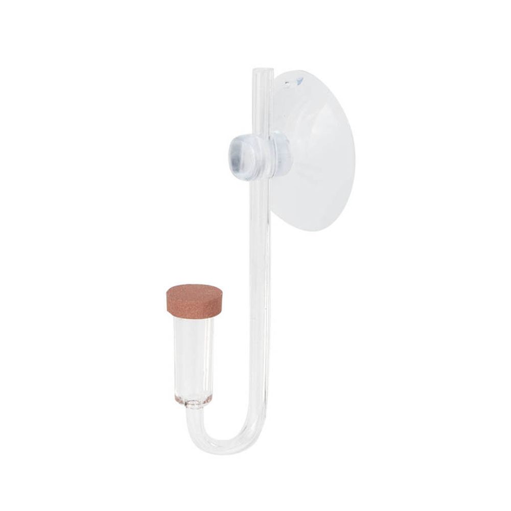 Acrylic Mini Fish Tank Live Pl - Aquarium Plant In Pot recension och pris