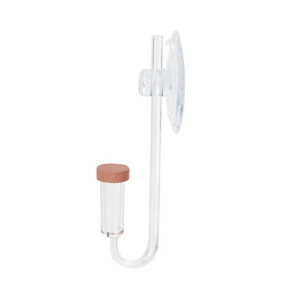 Acrylic Mini Fish Tank Live Pl - Aquarium Plant In Pot recension och pris