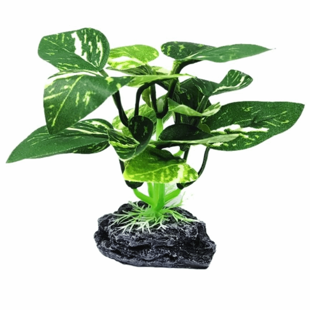 Plastic Material Aquarium Plan - Planted Aquarium Materials recension och pris
